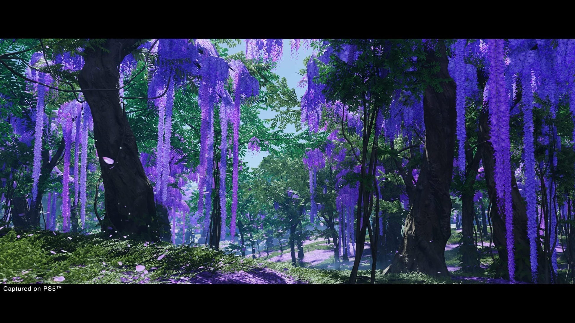 PlayStation Ghost of Tsushima Director's Cut for PS5 showing the game cover art with samurai warrior and Japanese landscape background.