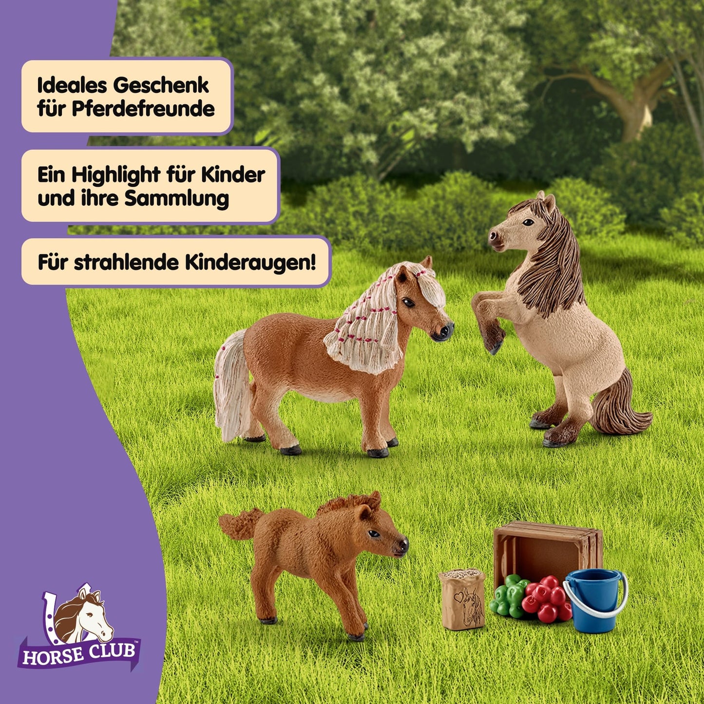 SCHLEICH HORSE CLUB - 8 PC Miniature Shetland Pony Family Playset with 3 Horses and Accessories - Collectable Farm Animal Figurines - Realistic Mini Horse Toys for Girls and Boys - Kids Ages 5+