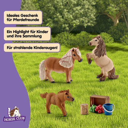 SCHLEICH HORSE CLUB - 8 PC Miniature Shetland Pony Family Playset with 3 Horses and Accessories - Collectable Farm Animal Figurines - Realistic Mini Horse Toys for Girls and Boys - Kids Ages 5+