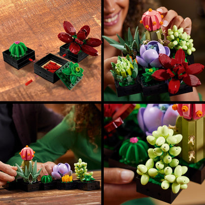 LEGO Botanicals Succulents - Build 9 Small Artificial Plants - DIY Gifts for Mothers - Home or Office Desk Décor Building Set For Adults - Botanical Collection - 10309