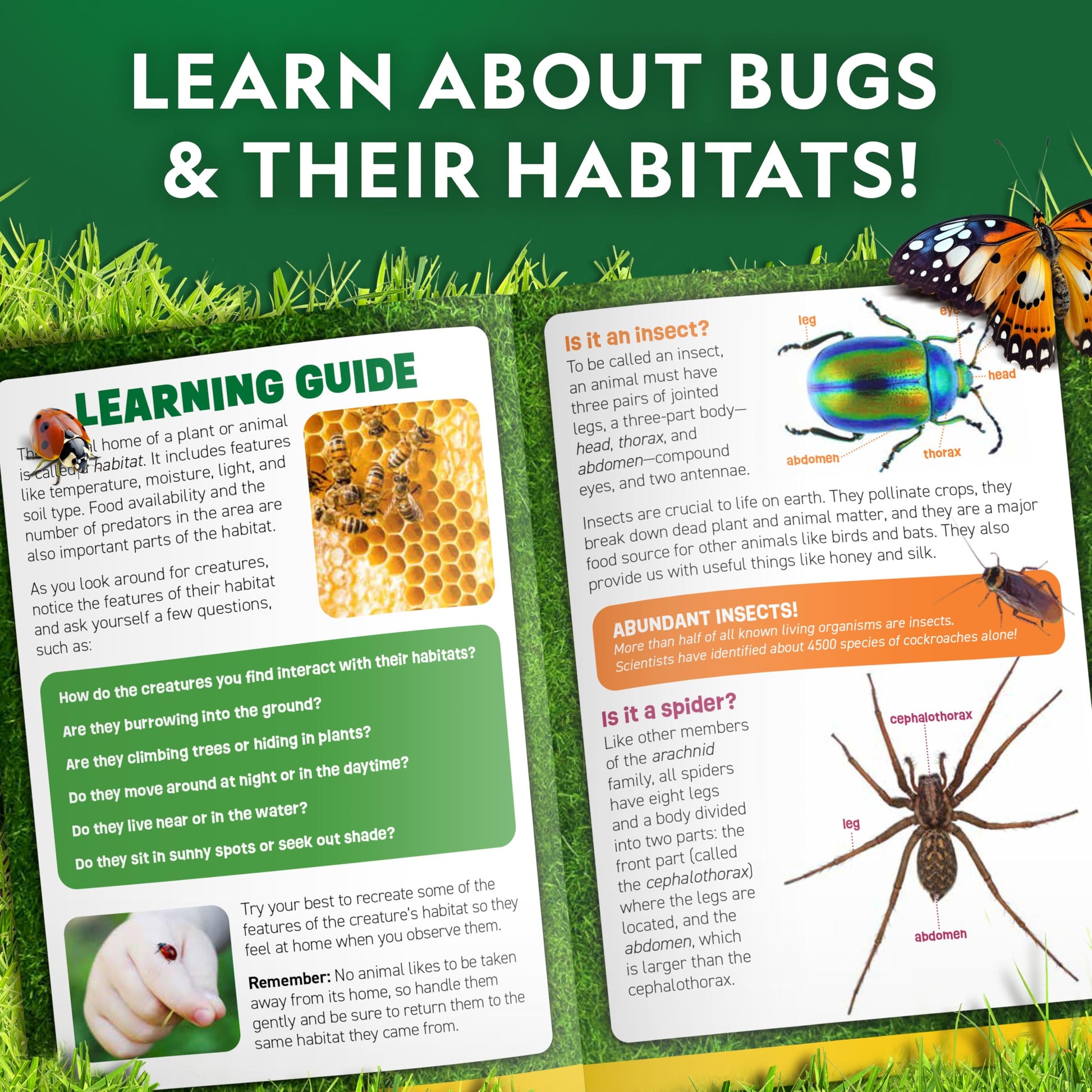 Blue Marble National Geographic bug catcher kit for kids with net, insect habitat, magnifiers, and tweezers for bug exploration.
