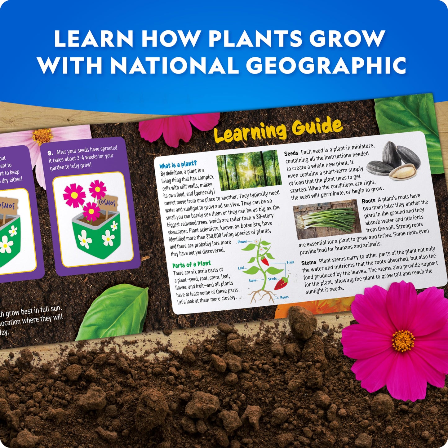 National Geographic kids flower and herb gardening kit with stainless steel pots, paint, stickers, and plant growing tools by Blue Marble