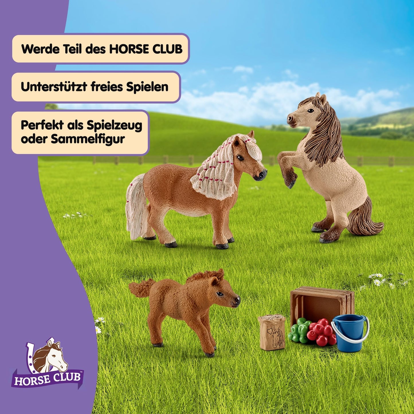 SCHLEICH HORSE CLUB - 8 PC Miniature Shetland Pony Family Playset with 3 Horses and Accessories - Collectable Farm Animal Figurines - Realistic Mini Horse Toys for Girls and Boys - Kids Ages 5+