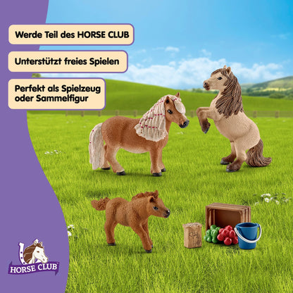 SCHLEICH HORSE CLUB - 8 PC Miniature Shetland Pony Family Playset with 3 Horses and Accessories - Collectable Farm Animal Figurines - Realistic Mini Horse Toys for Girls and Boys - Kids Ages 5+