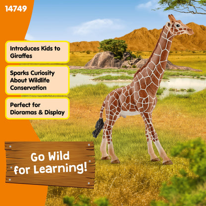 SCHLEICH Wild Life 14749 Male Giraffe Animal Figurine - Authentic Detailed Wild Male Giraffe Toy Education, Imagination, and Play - Highly Durable Animal Toys Gift for Boys, Girls, Kids Ages 3+