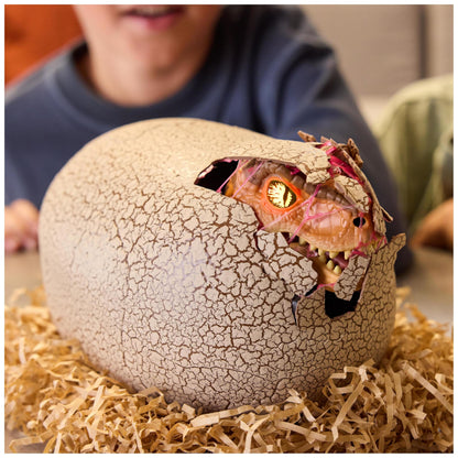 Jurassic World Primal Hatch Interactive Toy Dinosaur & Egg, Hatch & Train your own Baby Dino with 100+ Sounds & Reactions, Kids Toys for Boys & Girls Aged 5 & Up
