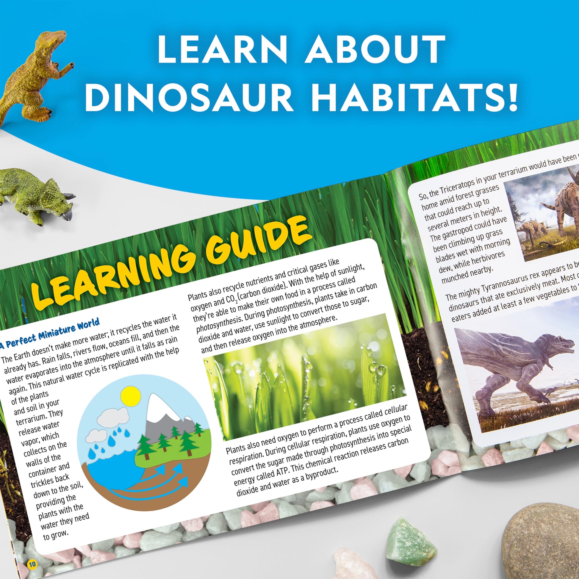 Blue Marble National Geographic light-up terrarium kit with dinosaur toys, real plants, gemstones, and building components for kids.