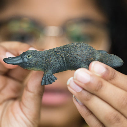 SCHLEICH 14840 Platypus Wild Life Toy Figurine for children aged 3-8 Years
